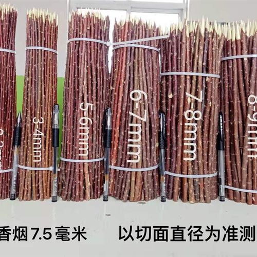 红柳签子 红柳枝 红柳烤肉签子 木烤肉签子羊肉串30354050烧烤针