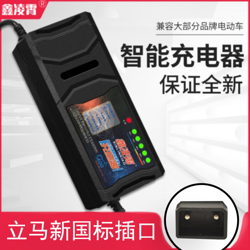 自动关机智能电动车电瓶充电器48V12AH60V20AH72V30A通用立马两孔