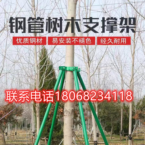 镀锌钢管树木支撑架树木支伸缩杆大树防风树支撑园林绿化支架固定