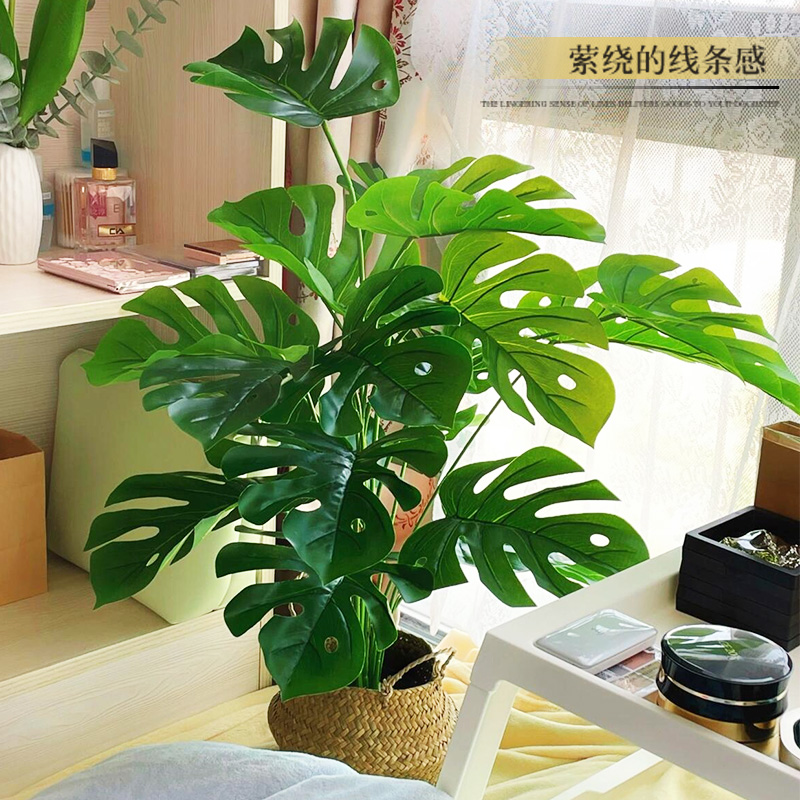 仿真小绿植龟背竹盆栽室内落地办公室客厅桌面摆件装饰假植物造景