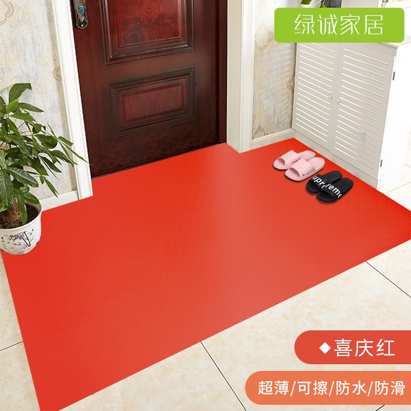 超薄地垫1mm不卡门pvc可擦洗入户门玄关防水防滑地毯进门门口垫子