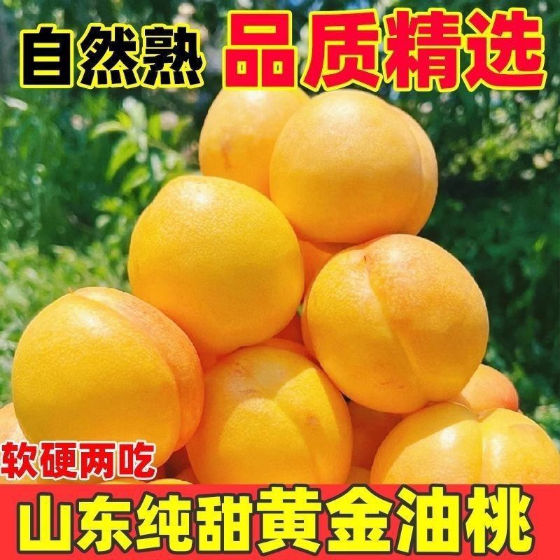 黄油桃脆桃整箱新鲜水果大果