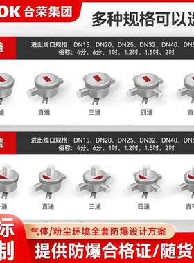 防爆接线盒304不锈钢IIIC/分线盒平盖/DN15一通或四通/AH4分圆形