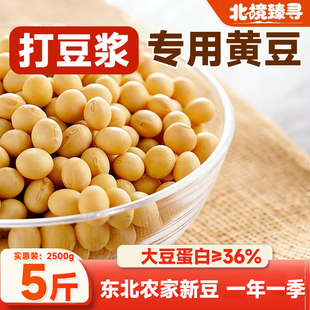 黄豆黑龙江非转基因黑河嫩江大豆生发豆芽黄豆打豆浆专用豆子批发