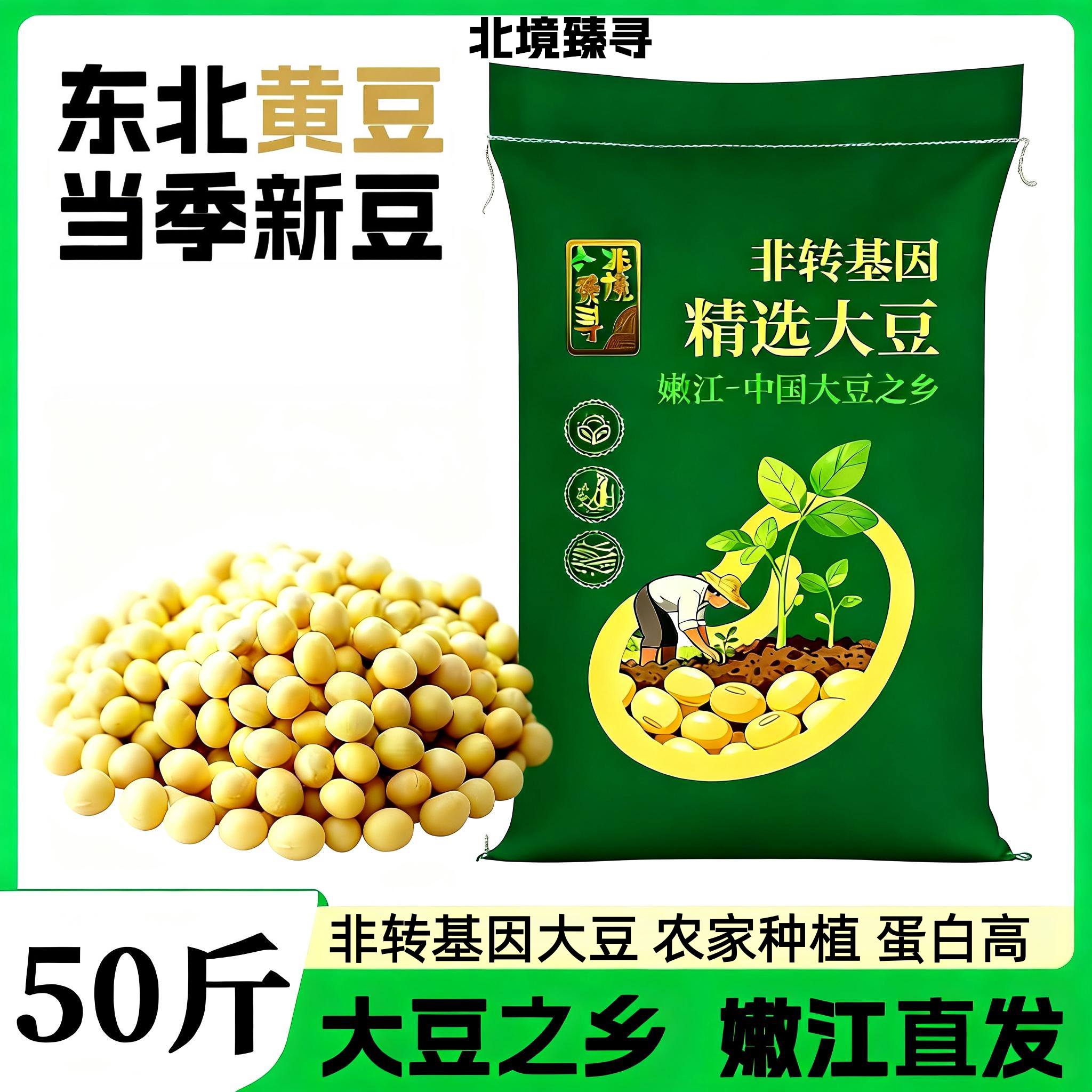 东北黑龙江新鲜黄豆非转基因黄豆批发50斤豆浆豆腐原料饱满大豆子