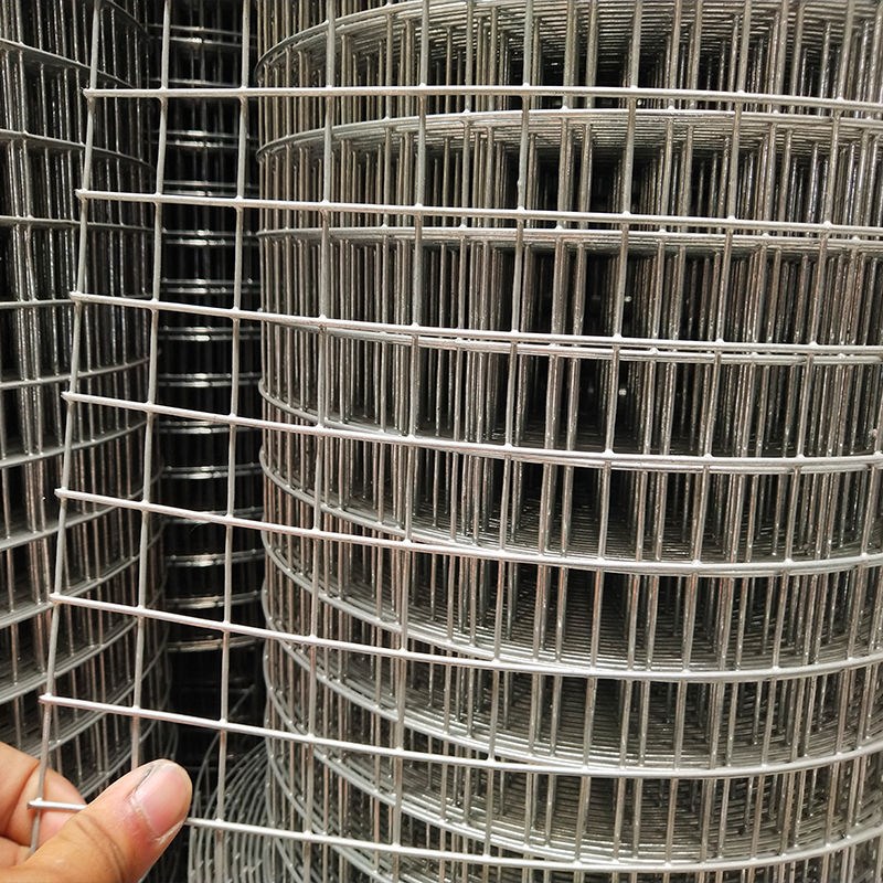 热镀锌钢丝网防锈围栏网养殖网铁丝网防鼠防蛇阳台封窗防护电焊网
