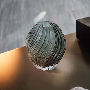 花瓶摆件客厅插花玻璃花瓶轻高感客厅默认9FVC奢透级明饰水培瓶装