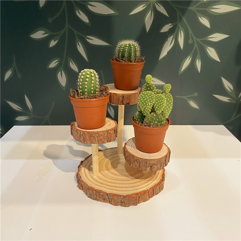 森系实木多层展示架店铺橱窗多肉绿植陈列花店装饰原木风拍照道具