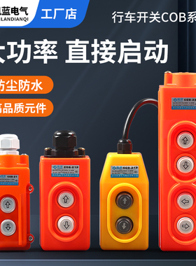 COB起重机行车按钮COP-21 22P上下直接控制开关31电动吊车380V
