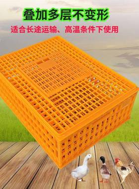 周工厂塑料鸡运笼家禽输笼方形塑胶转鸽箱子鸭鹅HQX加厚运输鸡笼