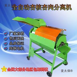 杏酸核杏肉离机山杏山桃毛桃桃子枣樱皮桃果肉分去核脱机VLC家麦