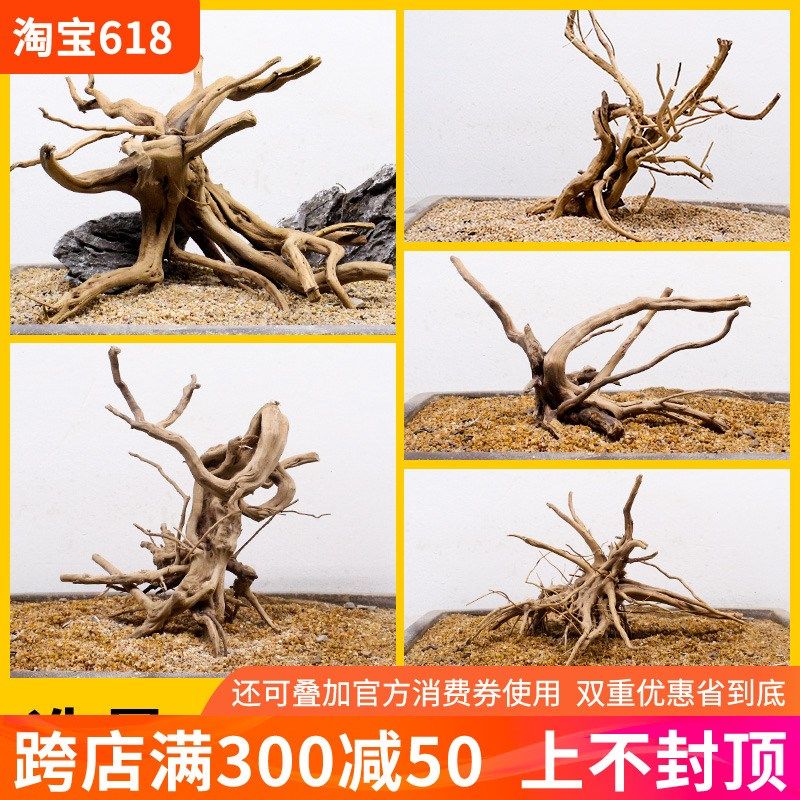 鱼缸造景沉木小号栖根杜鹃根造型树根一木成景小草缸专用莫斯树桩,宠物/宠物食品及用品,造景/装饰,淘宝优惠券,粉丝福利购,淘宝优惠卷