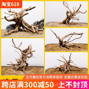鱼缸造景沉木小号栖根杜鹃根造型树根一木成景小草缸专用莫斯树桩