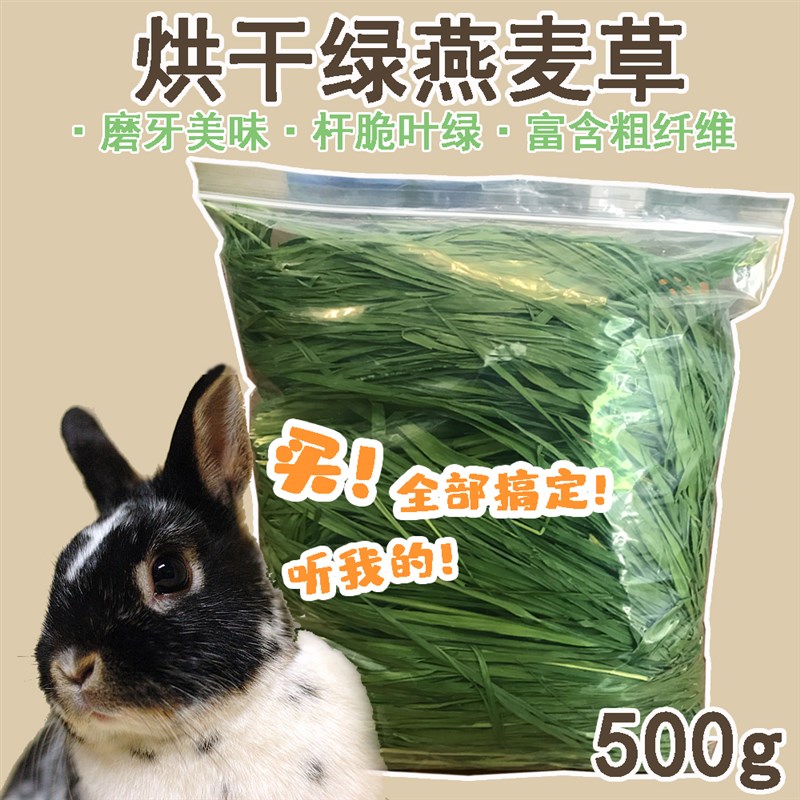 精选烘干绿燕麦草多叶烘烤干草兔草兔子燕麦草高纤维兔粮500g包邮