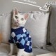 春秋斯芬克斯无毛猫德文衣服阿比西尼亚猫格子针织衫 猫咪狗狗外套
