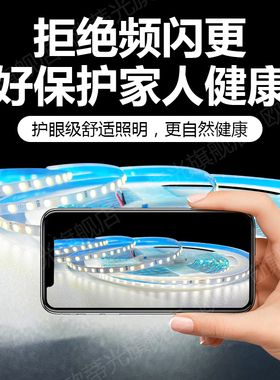 12V24V白色LED白光灯带日光白灯条12伏24伏6500K超薄贴片220V