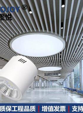 黑色物明装筒灯80W100W灯1180820W50W门露台雨棚灯吊装水草植生长