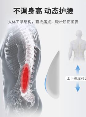 办公室垫坐久坐护腰生腰靠垫矫正坐姿学座垫靠背81158体一椅子垫