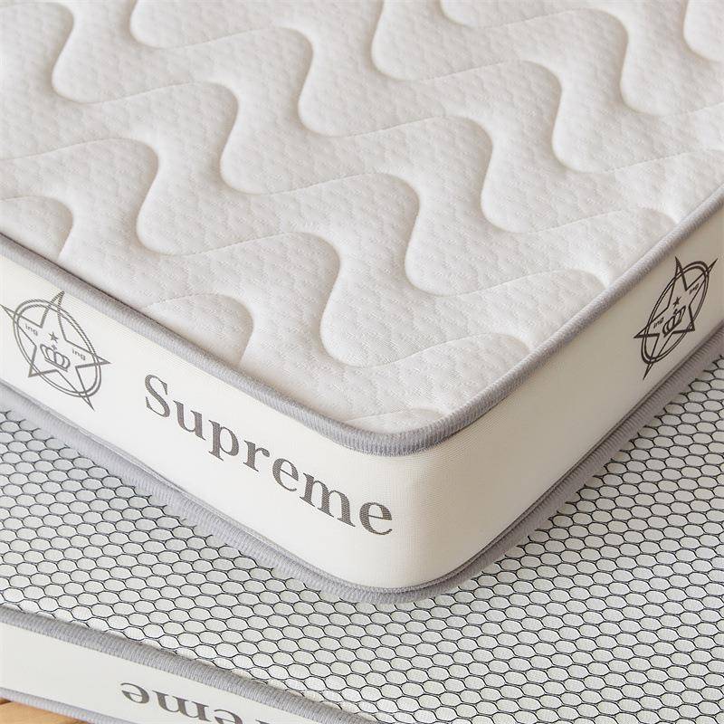 泰舍国乳胶床垫CW-162宿学生单人软垫子家榻用室租房专用榻米卧海