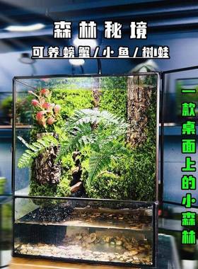 2025年新款创意造雨缸缸生态流水景养鱼微景观桌面林Y8i3fmQB摆件
