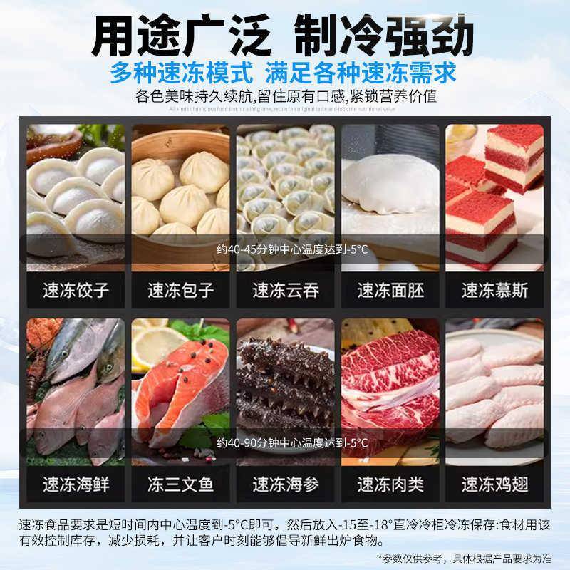 泓锋速冻冷商DMX用零下45度速柜冻柜急冻海插盘式包子冻饺子参速