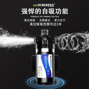 DP-SURGEFLO160高压隔力水泵12v24v小型电动净水雾器增加压路清膜
