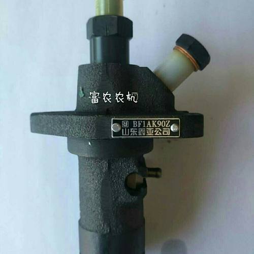 常柴常州江淮柴油机配件ZS1100 11051110 1115 1125柴油泵柱塞