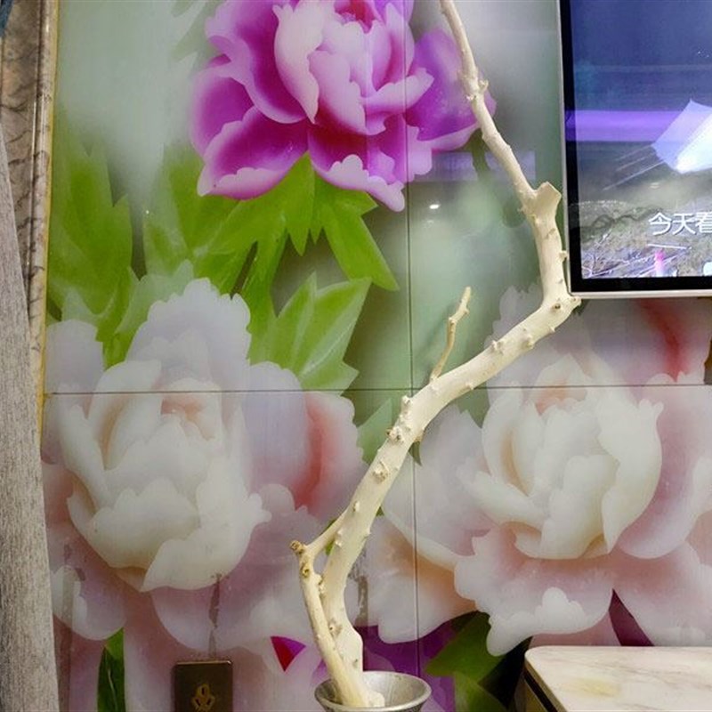 新款仿真树藤枯藤假花装饰树枝干枝青苔苔藓室内藤蔓植物壁挂绿植