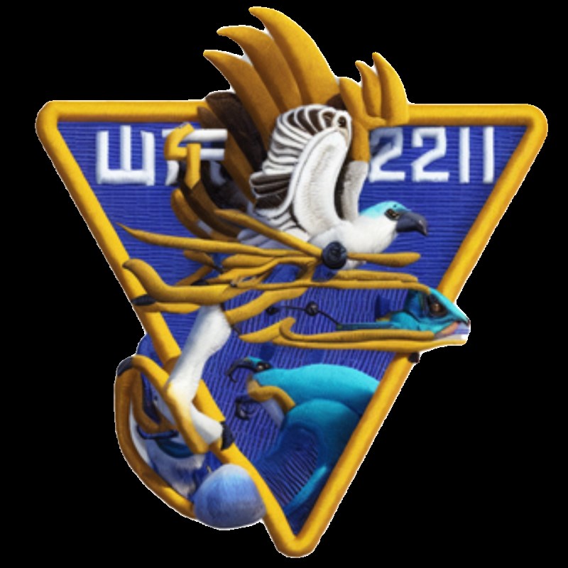 安全员肩牌臂章新员工袖标袖章定制刺绣学生会订做山东22订制