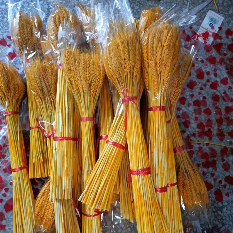 天然大麦麦穗干花花束开业大麦客厅田园装饰摆件插花拍摄道具