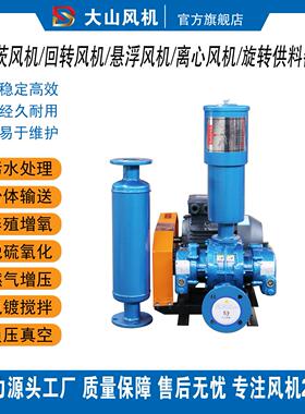 章丘罗茨鼓风机DSSR80气力输送脱硫脱硝氧化曝气污水处理真空泵