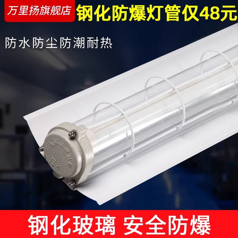 LED防爆灯隔爆型单管双管车间工厂仓库灯罩灯管灯具工业级防水图片