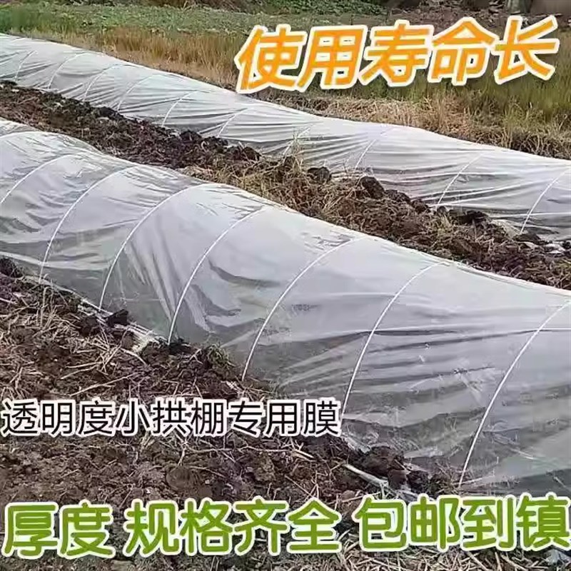 小拱棚育秧苗膜地膜农用白膜西瓜膜加厚种植保温薄膜塑料布大棚膜
