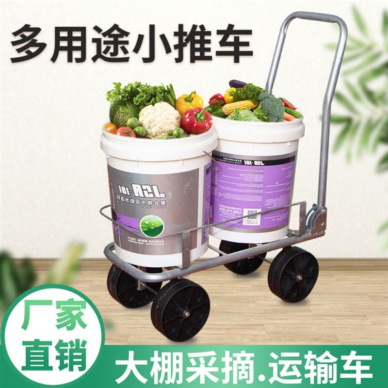 四轮农用大棚推粪家用采摘水拉粪车瓜果手推多功能蔬菜双桶小推车