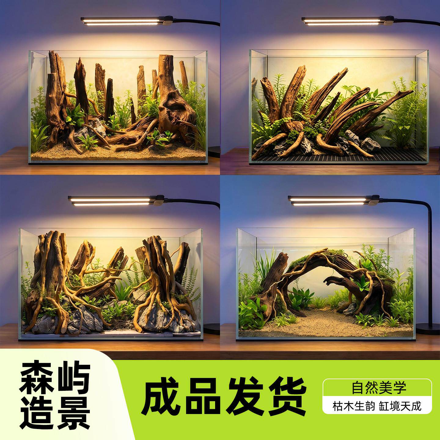 60-80生态鱼缸沉木造景骨架 底板造景整体发货一体免拼接南美雨林