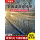 农用微喷带滴灌带1寸1.5寸2寸2.5寸3寸喷雾化雾管灌溉水带抗老化