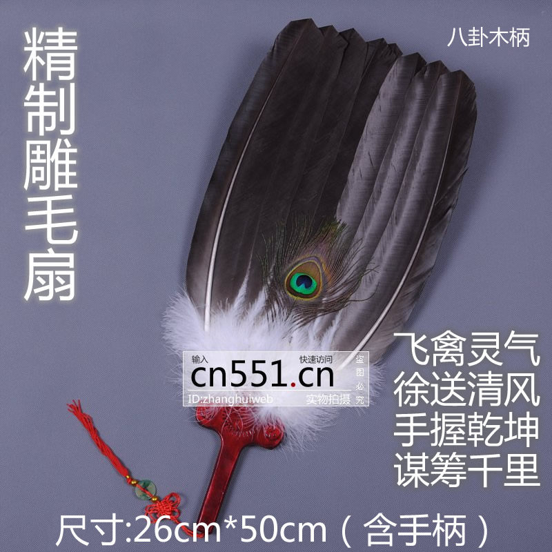 羽子腰圆形网红扇子 手工苍鹰毛 诸葛亮明大号 孔雀工艺扇雕毛扇
