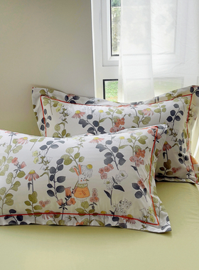 加厚加密简约纯棉枕套一对 全棉133x76被单花卉48x74cm两只装成人