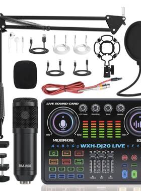 DJ20直播声卡48V麦克风手机电脑即插即用主播设备降噪户外便携