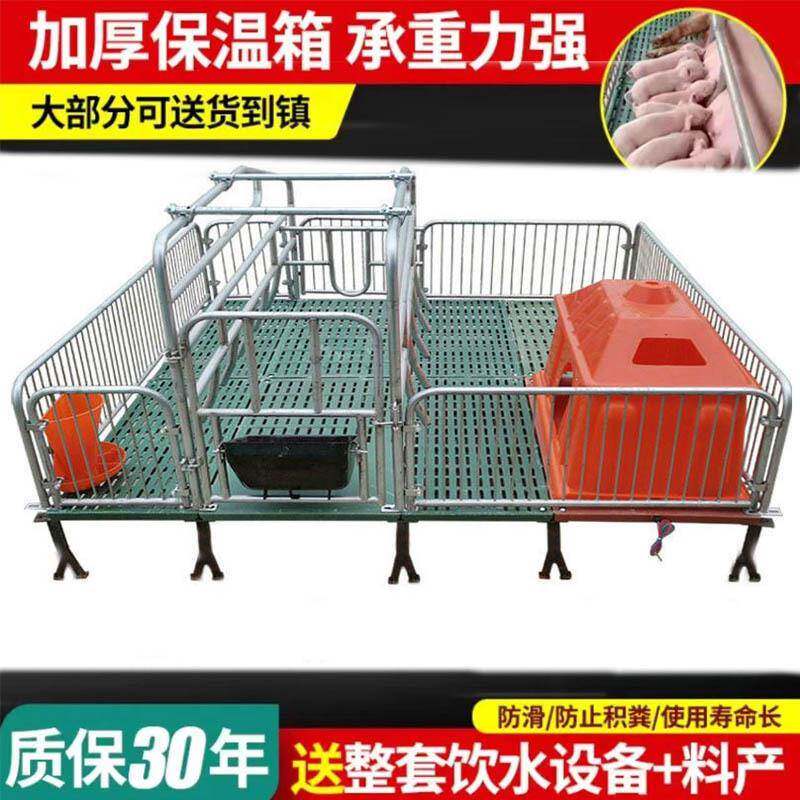 母猪产双YZT产保一两用保育床床仔猪分体娩养设备殖母猪栏猪笼单