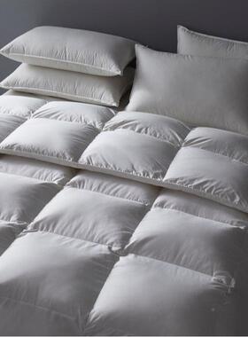 卢布林1鹅YY保绒被睡秋冬季加厚暖柔冬软静音被裸双人春秋被芯