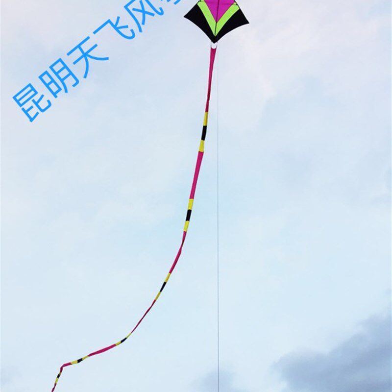 天飞高档冲天追抗风王风筝设计独特高1.5*1.8尾25米抗1.5-7级风