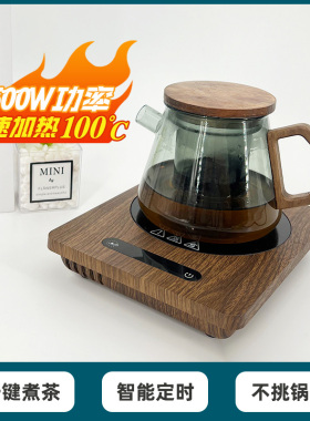 电陶炉茶炉小型煮茶玻璃壶烧水家用迷你电磁炉加热泡茶侧把壶茶具