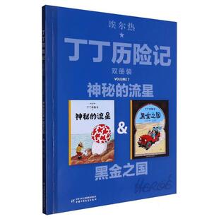 正版现货 丁丁历险记双册装-神秘的流星黑金之国 中国少儿 编者比埃尔热译者王炳东