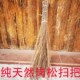 扫把 扫把岗松木 广西玉林广东茂名湛江农村扫把 乡下扫把植物老式