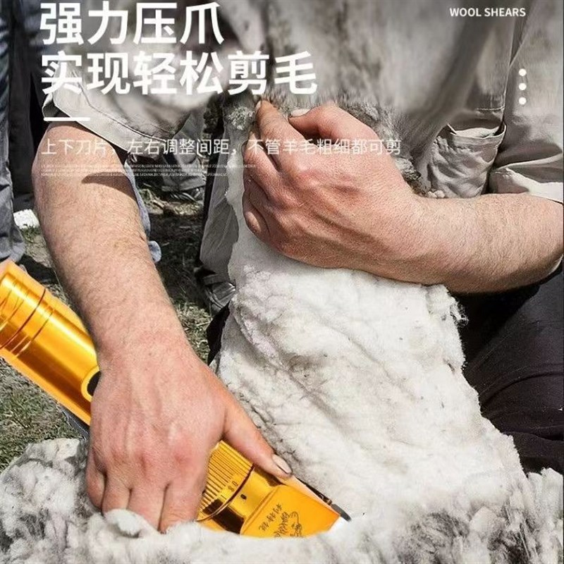 专用推剪48V大功率羊毛推子电动羊毛剪电推子全羊通用宠物剃毛器
