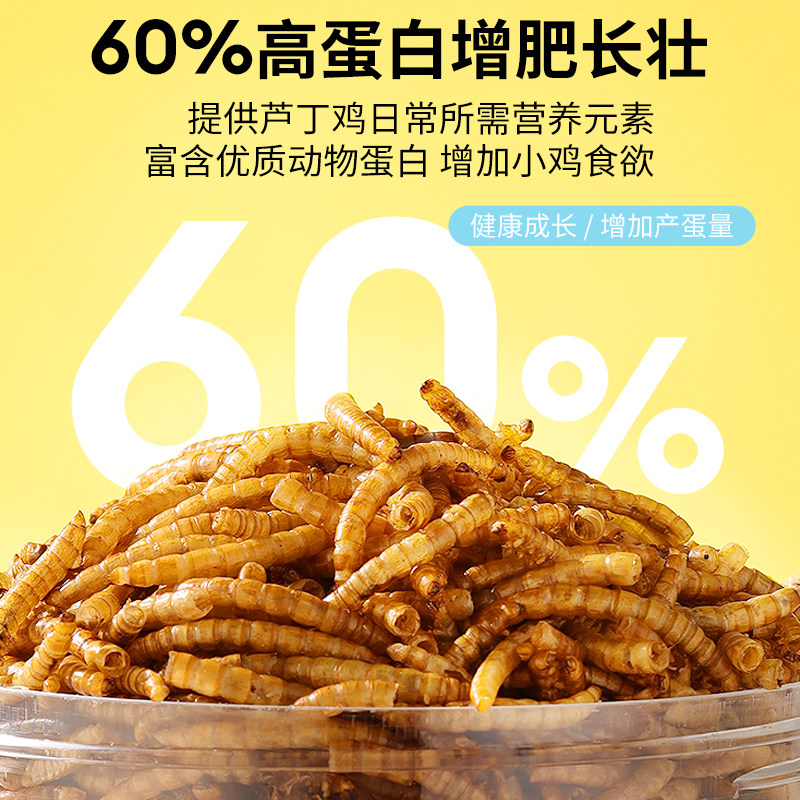 布卡星八哥面包虫干专用鸟粮乌龟刺蝟仓鼠零食用品芦丁鸡鸟食饲料