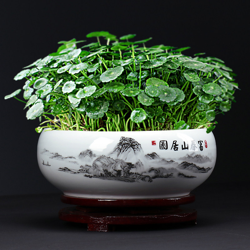 简约中国风陶瓷铜钱草花盆大口径碗莲睡莲荷花盆水仙绿植桌面器皿,鲜花速递/花卉仿真/绿植园艺,花盆,淘宝优惠券,粉丝福利购,淘宝优惠卷