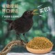 八鸟哥饲料开口鸟粮会说话 八哥食料八鸟饲料营养鸟食补钙混合粮