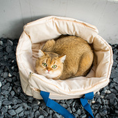 宠物猫包外出便携冬保暖棉绒狗狗中小型犬猫咪单肩手提拎包大容量